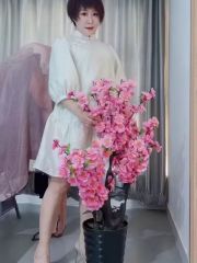 会夹的少妇